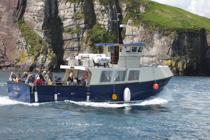 Boat Tour of Dingle Peninsula - Key things you’ll notice right away