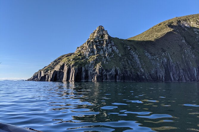 Boat Tour of Dingle Peninsula - What actually happens on the water (your hour, step by step)