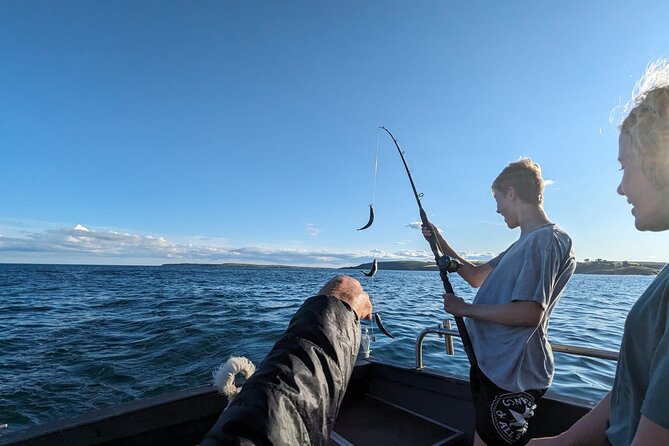 Boat Tour of Kinsale Harbour and Bandon River - Key highlights to know before you go