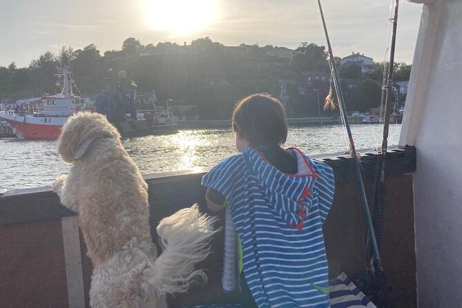 Boat Tour of Kinsale Harbour and Bandon River - Meet Captain Brian and the friendly crew vibe