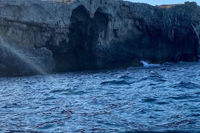 Boat tour of Ortigia Island and sea caves - Price and value: why $24.20 can feel like a bargain