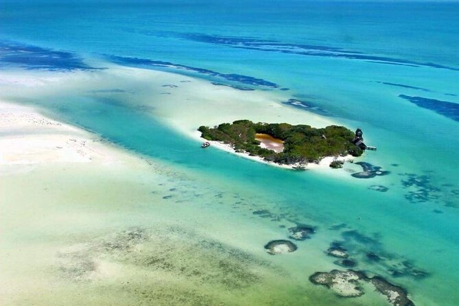 Boat Tour of Three Islands in Holbox with Transportation - Isla Pájaros birding: protected habitat, short stop, and season limits