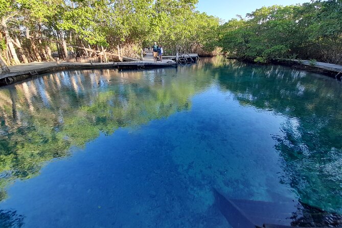 Boat Tour of Three Islands in Holbox with Transportation - Punta Mosquito sandbanks: what usually steals the show
