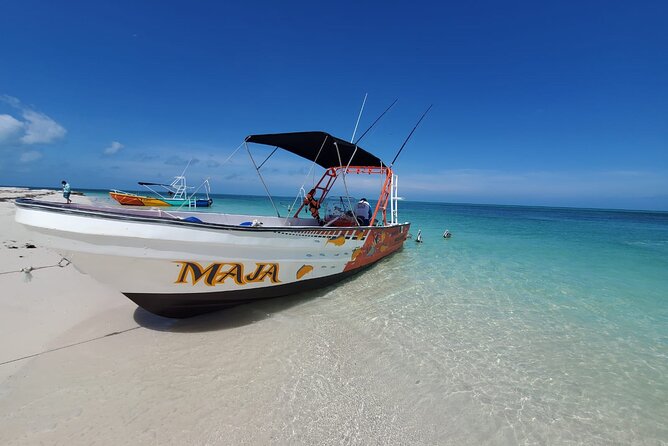 Boat Tour of Three Islands in Holbox with Transportation - The boat, the water time, and how to stay comfortable