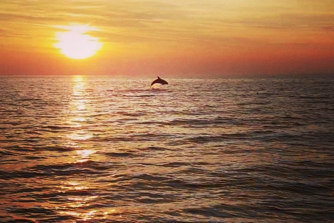 Boat tour swimming snorkeling south Istria Kamenjak Premantura - What “private cruise” changes for your day on the water