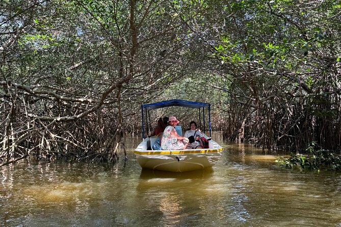 Boat tour through the mangroves of Celestún and Playa from Merida - Celestún From Mérida: How the 9-Hour Day Is Built