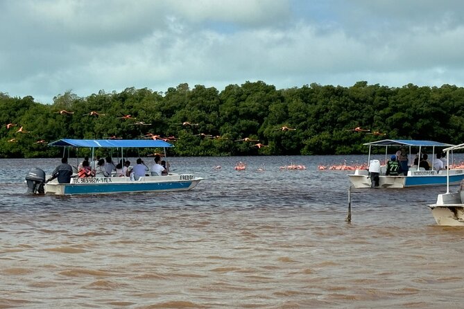Boat tour through the mangroves of Celestún and Playa from Merida - La Ramada de la tía Candi Beach Break: Lunch + Swim + Downtime