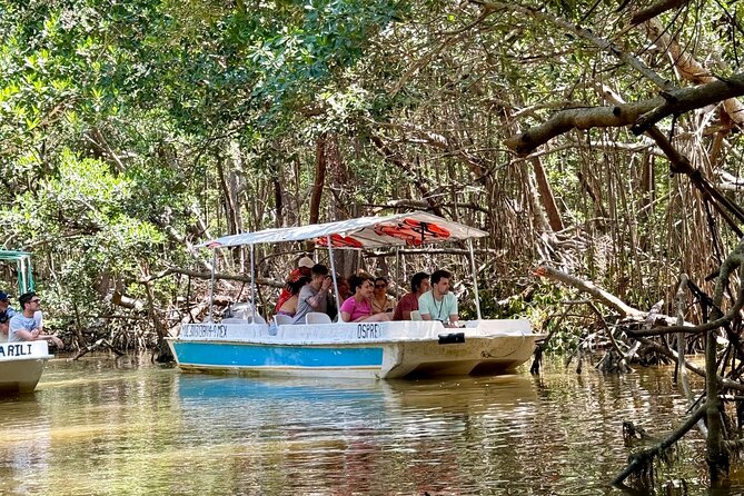 Boat tour through the mangroves of Celestún and Playa from Merida - Packing Tips That Make You Less Miserable on Arrival