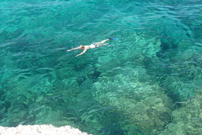 Boat tour to explore the Marine Protected Area of Tavolara - Key takeaways before you book