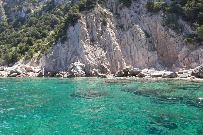 Boat tour to explore the Marine Protected Area of Tavolara - The vibe: a RIB day that feels practical, not touristy