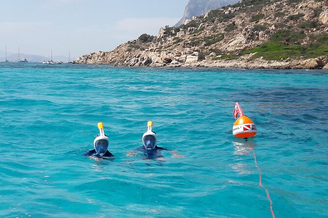 Boat tour to explore the Marine Protected Area of Tavolara - Inside the RIB: comfort, weather cover, and how safe it feels