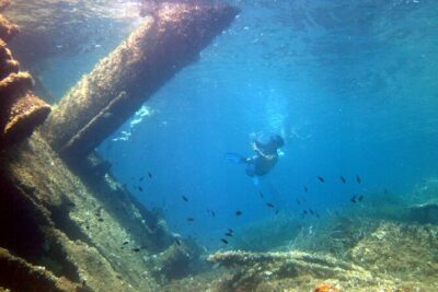 Boat tour to explore the Marine Protected Area of Tavolara - Price and value: what you really get for about $72