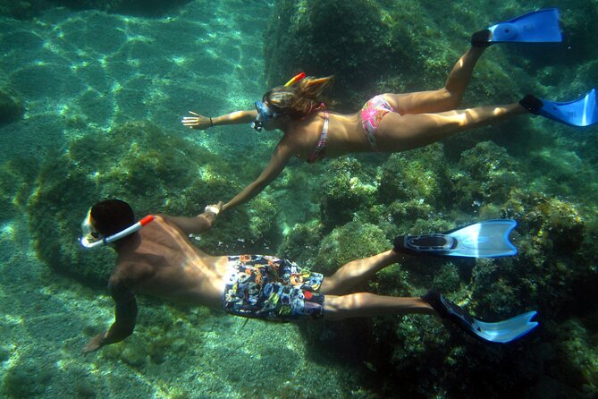 Boat tour to explore the Marine Protected Area of Tavolara - Snorkeling gear and what to bring (and what to skip)