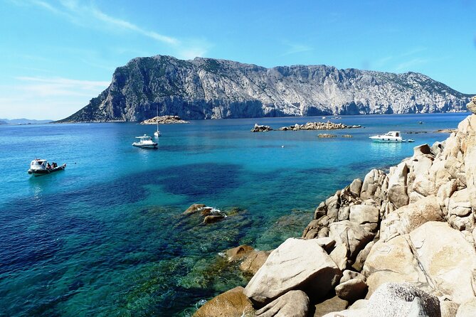 Boat tour to explore the Marine Protected Area of Tavolara - Drinks, snacks, and the small morale boost that counts
