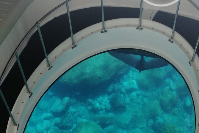 Boat trip along the Northwest Coast of La Palma - Price and what makes it feel like value