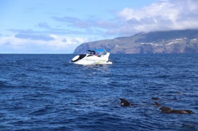 Boat trip along the Northwest Coast of La Palma - Stop from El Puerto de Tazacorte: set up your sea-view game