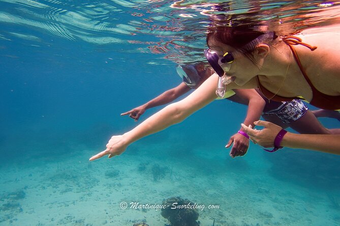 Boat Trip for Snorkeling Discovery of Corals - Getting to La Marina du Marin and starting at 9:00 am