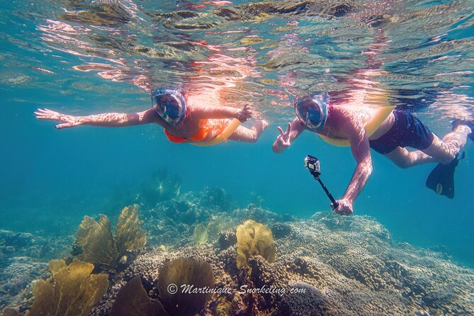 Boat Trip for Snorkeling Discovery of Corals - Price and group size: is $59.67 good value?