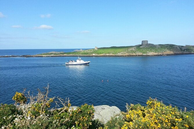 Boat Trip from Dublin City to Dun Laoghaire - The narration question: what you can expect from the guide