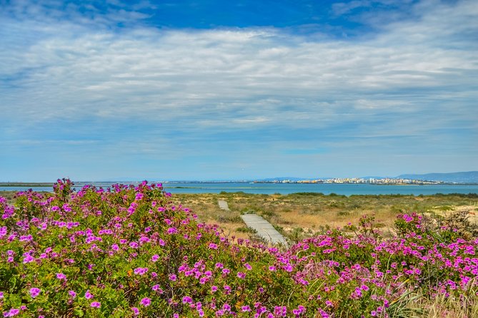 Boat trip from Faro to Ilha Deserta by Ferry - Faro to Ilha Deserta by Ferry: Timing, Ride Vibes, and Comfort