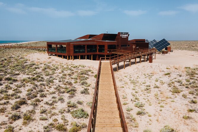 Boat trip from Faro to Ilha Deserta by Ferry - Price and Value: Why This Ticket Makes Sense