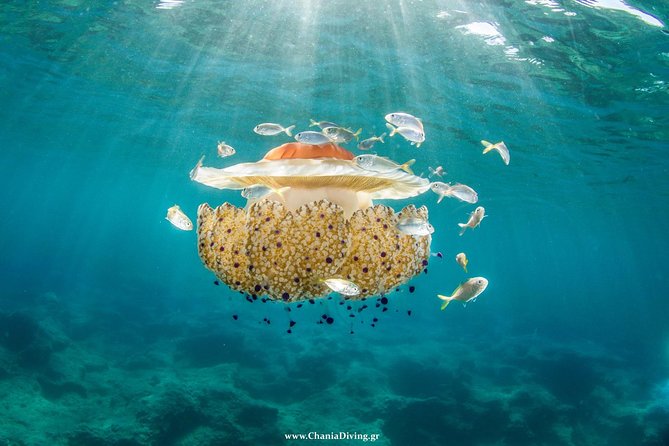 Boat Trip in Crete with Guided Snorkeling and Free Pick up! - Souda Bay drive-by: panoramic views and practical local context