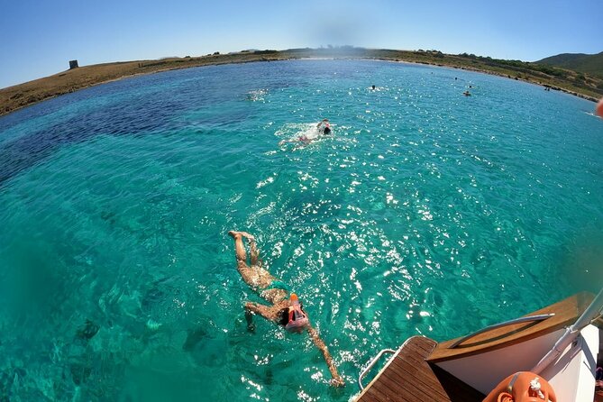 Boat trip to Asinara with lunch in Stintino - Cruising Parco Nazionale dell’Asinara: What You’ll Actually Do
