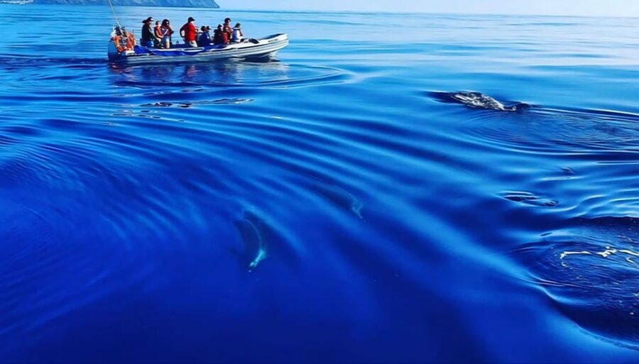 Boat Trip to Corvo and Island Sightseeing Tour - Weather, seas, and rescheduling: how to protect your schedule