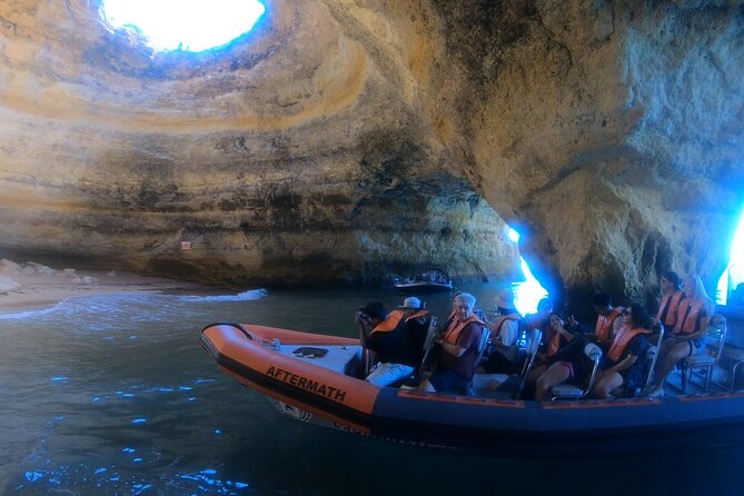 Boat trip to the caves of Benagil - Dolphin spotting and marine life: exciting when it happens
