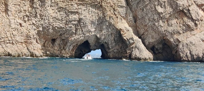 Boat trip to the Medes Islands, caves and stop for swimming - Medes Islands guided time: marine wildlife and bird awareness