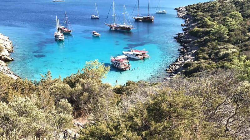 Bodrum: Boat Tour for Mein Schiff Cruise Passengers - Key things to look forward to on this Bodrum boat tour