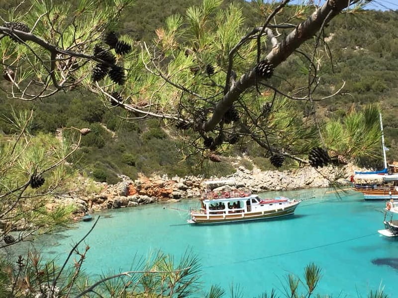 Bodrum: Boat Tour for Mein Schiff Cruise Passengers - Should you book this Mein Schiff coast boat tour?