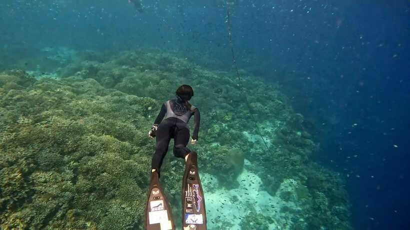Bohol: Boat Tour to Sandbar and Snorkeling with Turtles - Who This Bohol Tour Fits Best (and Who Should Skip It)