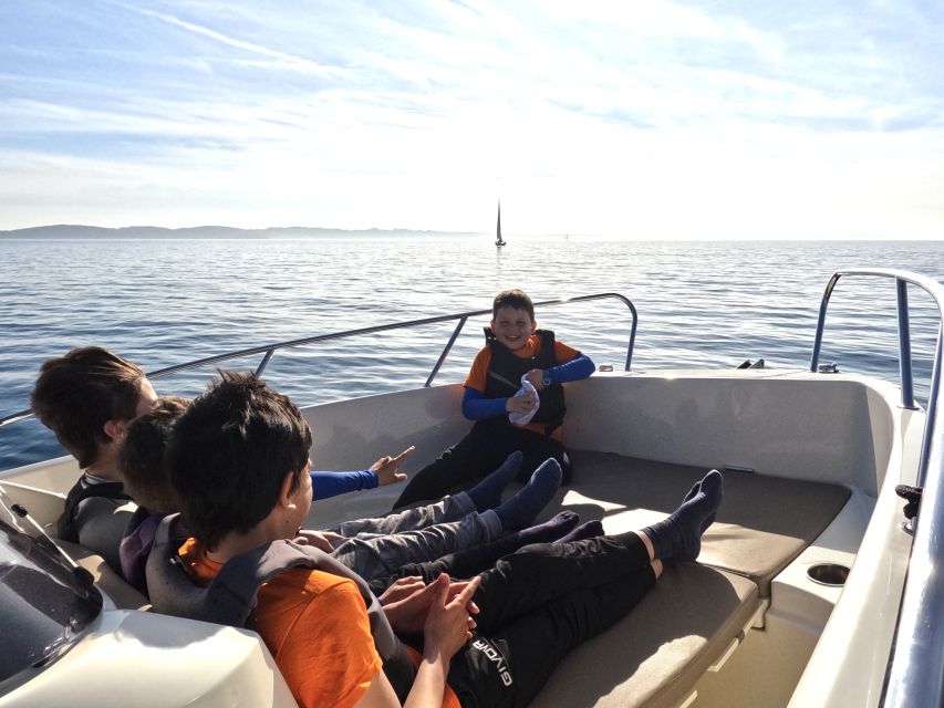 Brijuni Islands: Sunset & Dolphins private boat tour - Dolphin hunt in the Adriatic: how the experience really feels