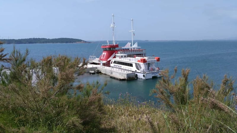 Burgas: Return Boat Trip to St. Anastasia Island - Price Check: Is $45 Good Value for Burgas to St. Anastasia?