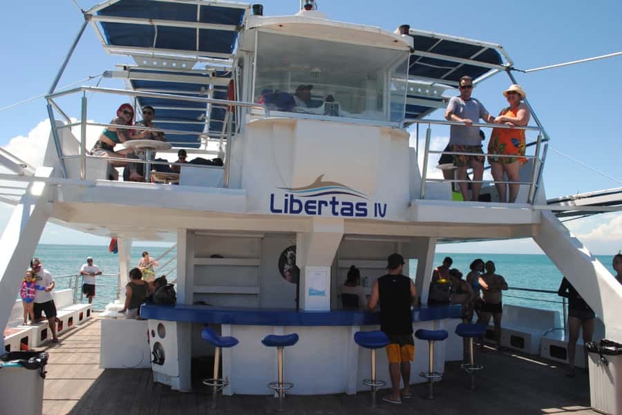Búzios: Catamaran Boat Tour - First Swim Stop at Parque dos Corais (Coral Park): Where Marine Life Is the Goal