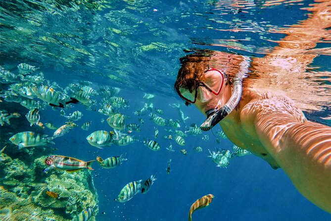 Cabo San Lucas Boat Tour with Snorkeling, Open Bar, and Lunch - Should You Book This Cabo San Lucas Boat + Snorkeling Tour?