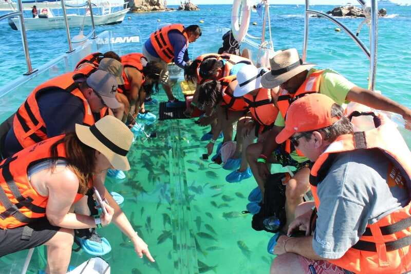 Cabo San Lucas: Glass Bottom Boat Tour to Land's End - Past Empacadora Beach and Pelican Rock: the ride has real structure