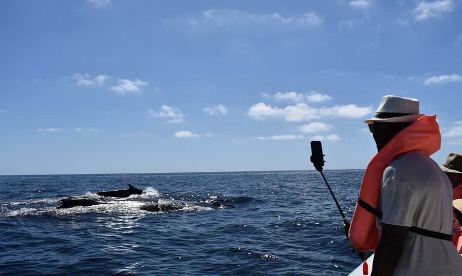 Cabo: Whale-Whatching Boat Trip w/ All-Women Crew and Photos - Hydrophone Whale Songs: What It Adds (and Why It’s Worth Waiting For)