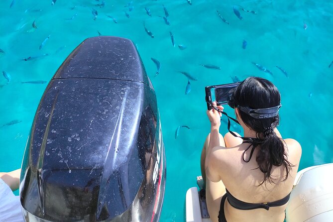 Cagliari Boat Tour with Sardatrips; Swim, Snorkeling, Sip & Snack - The Route Makes Sense: Port Dolphins, Then Swim Stops by Design