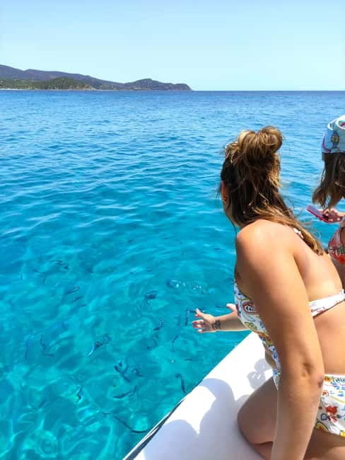 Cagliari: More Than a Boat Tour; Snack, Swim, Sip & Snorkel - Dolphins, marine life, and the snorkeling factor