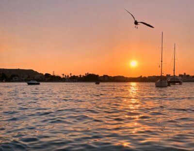 Cagliari: Sunset Boat Tour with Aperitif and Prosecco - Meeting by Lungomare: how the tour starts
