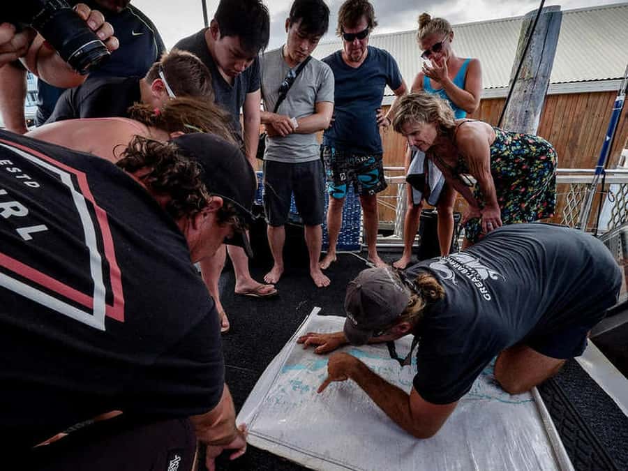 Cairns: 2-Day Great Barrier Reef Dive and Snorkel Boat Trip - Reef time that starts before sunrise in Cairns