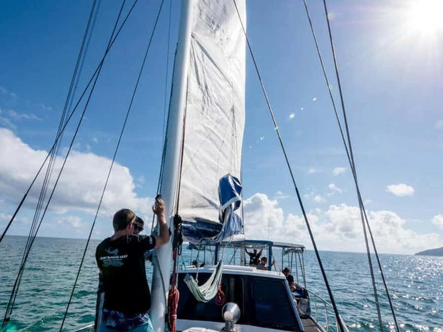 Cairns: 2-Day Great Barrier Reef Dive and Snorkel Boat Trip - Your morning start: boarding, gear, and stinger-suit reality