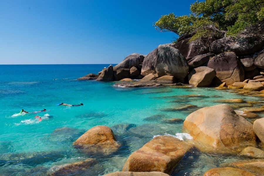 Cairns: Great Barrier Reef and Fitzroy Island Boat Tour - Glass bottom boat and semi-submersible: choose based on what you want to see