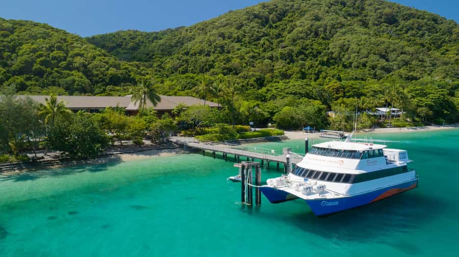 Cairns: Great Barrier Reef and Fitzroy Island Boat Tour - Fitzroy Island: Zephyrs buffet lunch, then beach and self-guided nature time