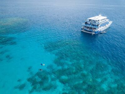 Cairns: Great Barrier Reef Overnight Snorkeling Boat Trip - Your boat stay: cabins, showers, and not feeling trapped