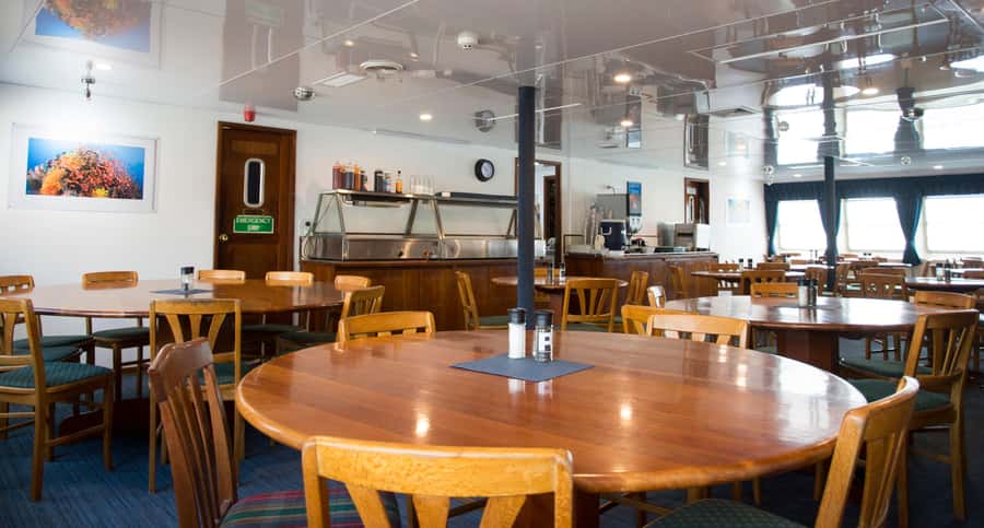 Cairns: Great Barrier Reef Overnight Snorkeling Boat Trip - Scuba options: what’s included versus what costs extra