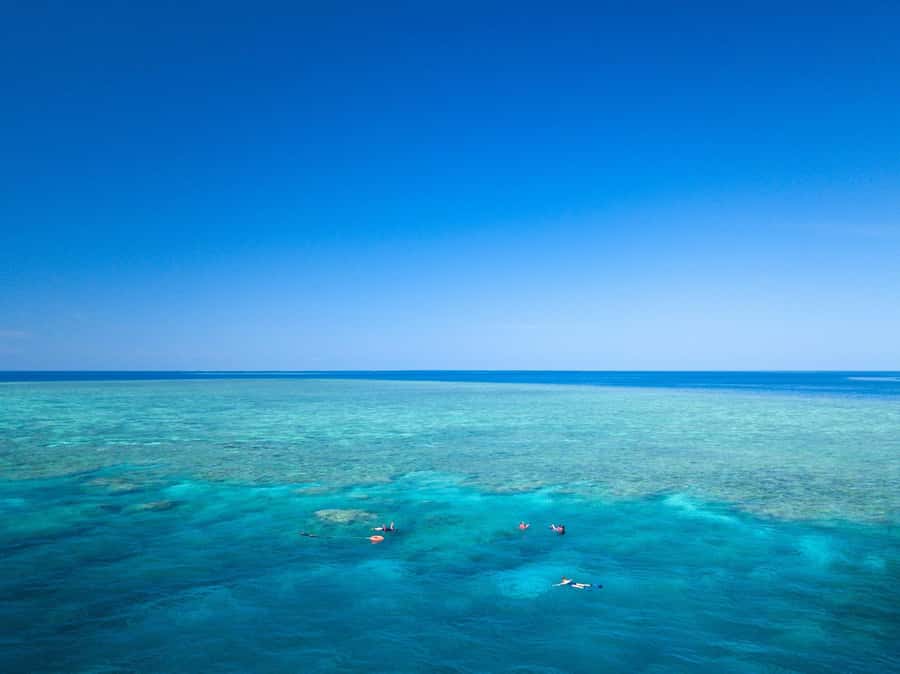 Cairns: Great Barrier Reef Overnight Snorkelling Boat Trip - Saxon and Norman reefs: why this overnight format feels different
