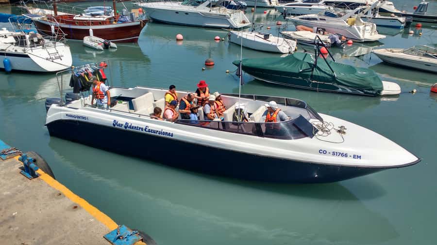 Callao: Swimming with Sea Lions Palomino Islands Boat Tour - Logistics that actually matter: meeting point, timing, and getting there